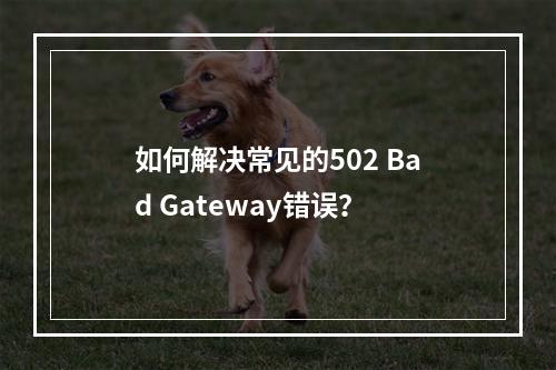 如何解决常见的502 Bad Gateway错误?