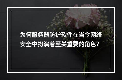 为何服务器防护软件在当今网络安全中扮演着至关重要的角色?