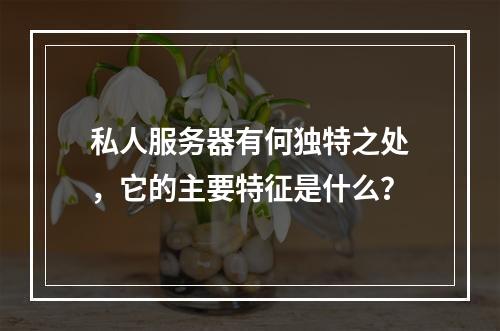 私人服务器有何独特之处,它的主要特征是什么?