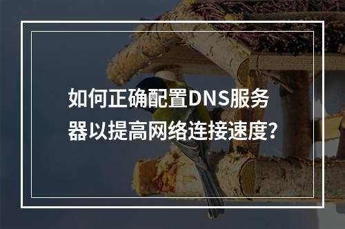 如何正确配置DNS服务器以提高网络连接速度?