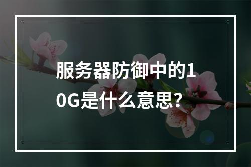 服务器防御中的10G是什么意思?