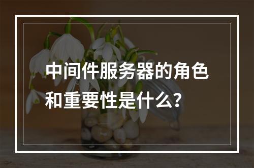 中间件服务器的角色和重要性是什么?