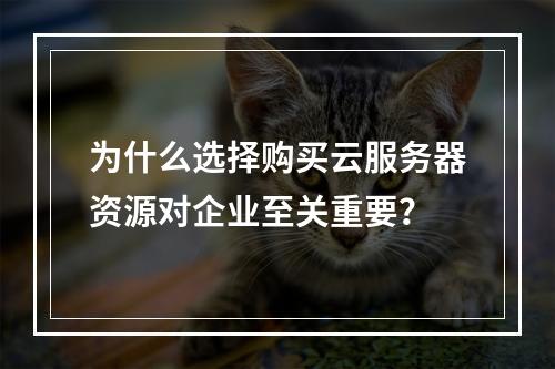 为什么选择购买云服务器资源对企业至关重要?