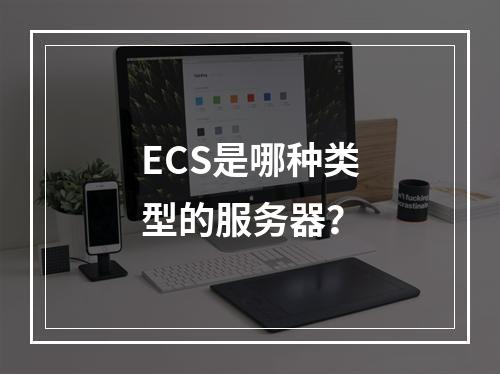 ECS是哪种类型的服务器?
