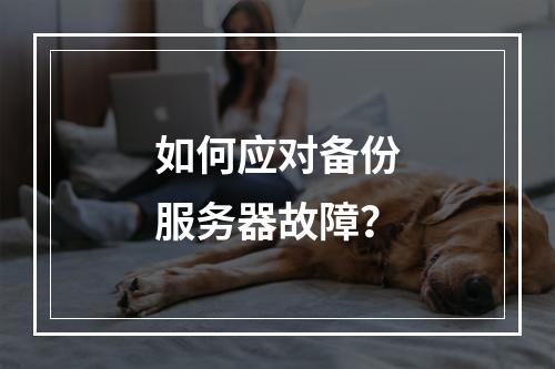 如何应对备份服务器故障?