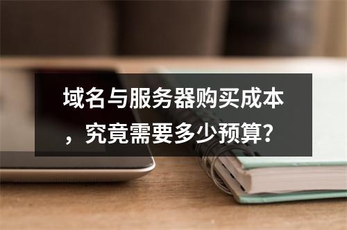 域名与服务器购买成本,究竟需要多少预算?