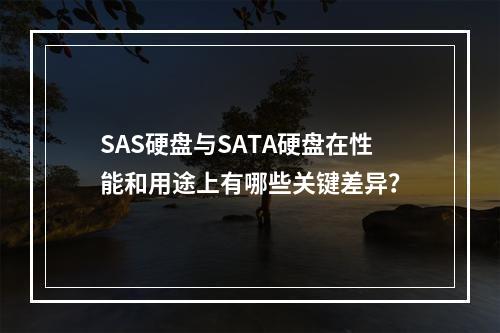 SAS硬盘与SATA硬盘在性能和用途上有哪些关键差异?