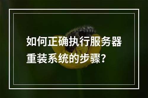 如何正确执行服务器重装系统的步骤?