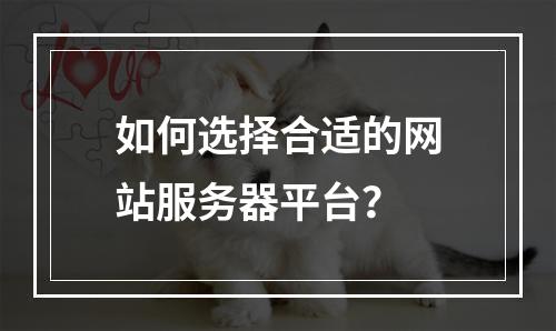 如何选择合适的网站服务器平台?