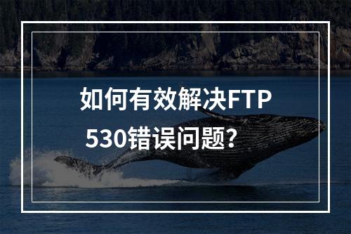 如何有效解决FTP 530错误问题?