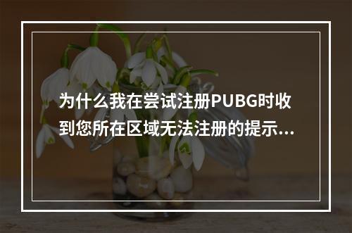 为什么我在尝试注册PUBG时收到您所在区域无法注册的提示?