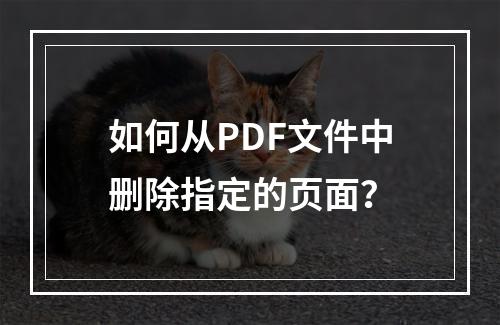如何从PDF文件中删除指定的页面?