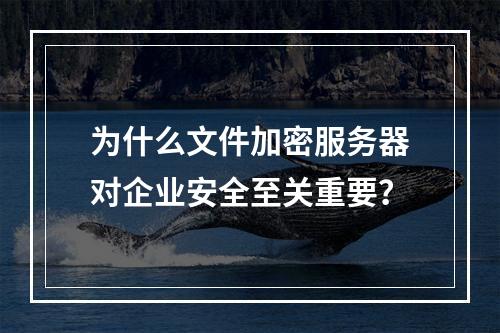 为什么文件加密服务器对企业安全至关重要?