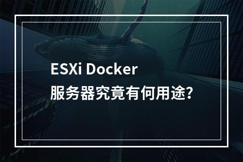 ESXi Docker服务器究竟有何用途?
