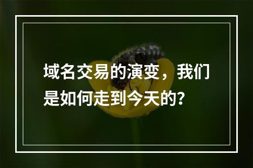 域名交易的演变,我们是如何走到今天的?