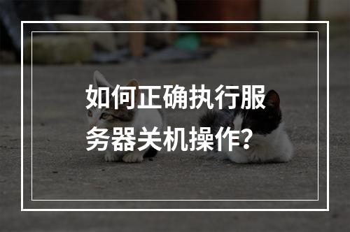 如何正确执行服务器关机操作?