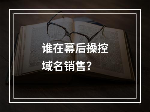 谁在幕后操控域名销售?