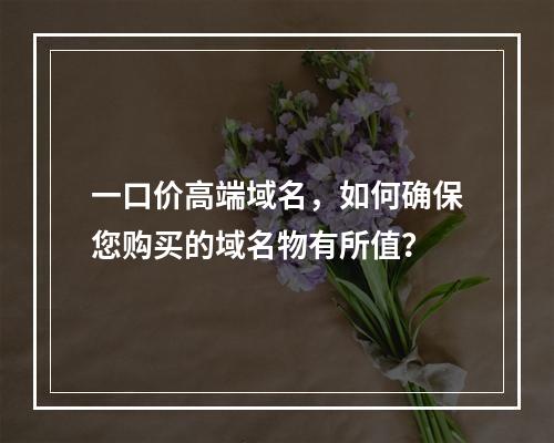 一口价高端域名,如何确保您购买的域名物有所值?