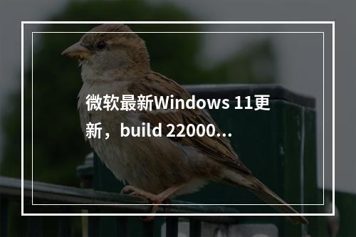 微软最新Windows 11更新,build 22000.2243(KB5028245)现已在Release Preview通道推出,你准备好尝试了吗?