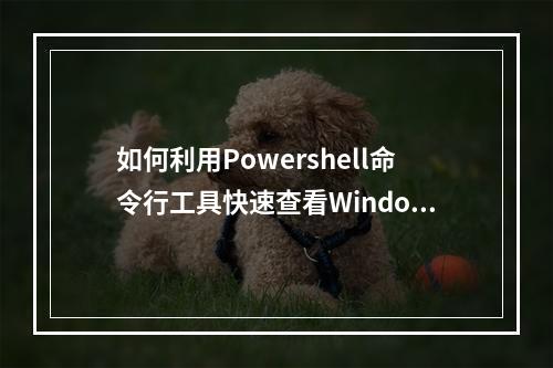 如何利用Powershell命令行工具快速查看Windows系统中哪些端口被占用?