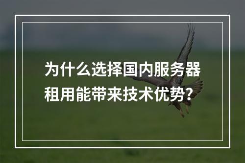 为什么选择国内服务器租用能带来技术优势?