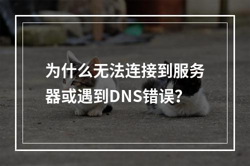 为什么无法连接到服务器或遇到DNS错误?