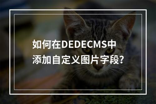 如何在DEDECMS中添加自定义图片字段?
