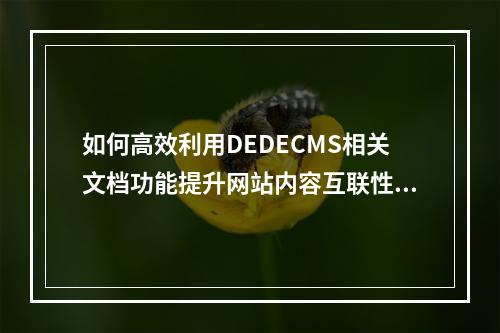 如何高效利用DEDECMS相关文档功能提升网站内容互联性?