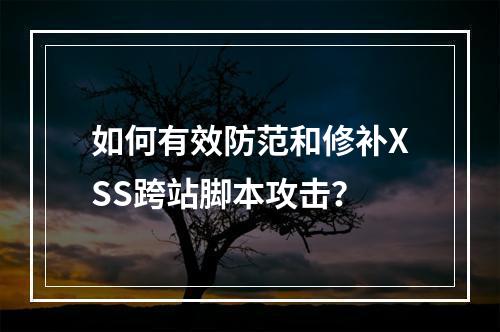 如何有效防范和修补XSS跨站脚本攻击?
