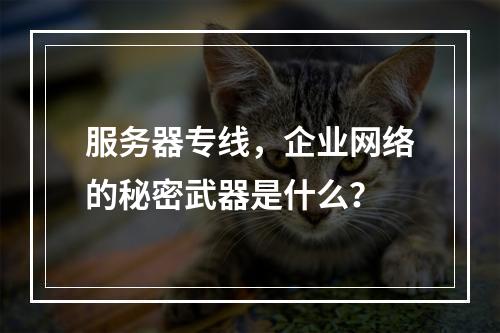 服务器专线,企业网络的秘密武器是什么?