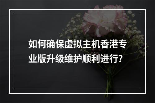如何确保虚拟主机香港专业版升级维护顺利进行?