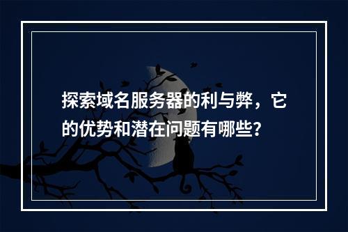 探索域名服务器的利与弊,它的优势和潜在问题有哪些?