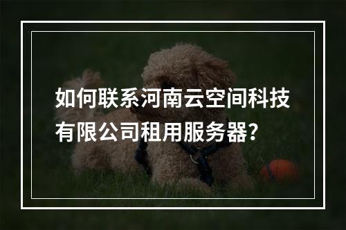 如何联系河南云空间科技有限公司租用服务器?