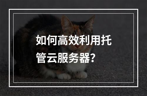 如何高效利用托管云服务器?