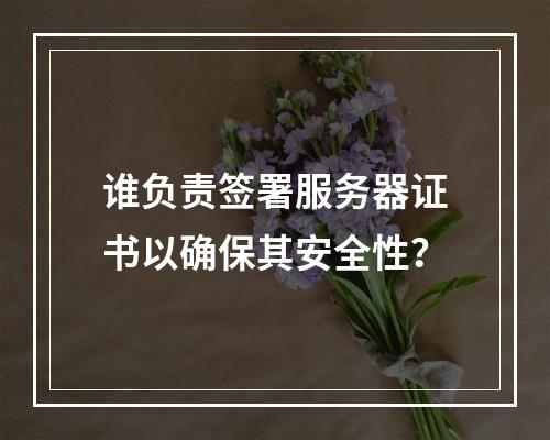 谁负责签署服务器证书以确保其安全性?