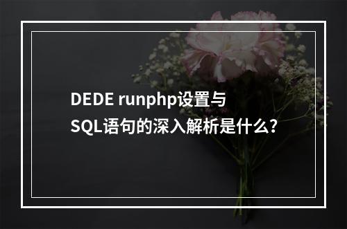 DEDE runphp设置与SQL语句的深入解析是什么?