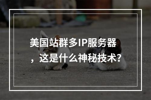 美国站群多IP服务器,这是什么神秘技术?
