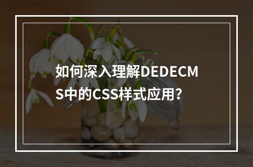 如何深入理解DEDECMS中的CSS样式应用?