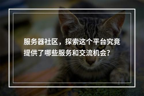 服务器社区,探索这个平台究竟提供了哪些服务和交流机会?