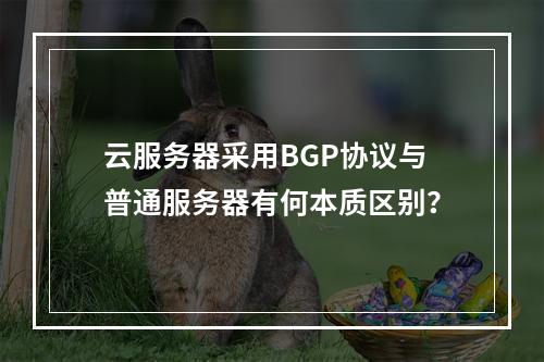 云服务器采用BGP协议与普通服务器有何本质区别?