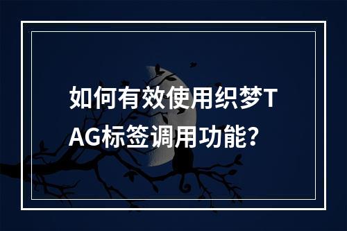 如何有效使用织梦TAG标签调用功能?