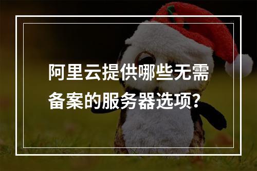 阿里云提供哪些无需备案的服务器选项?