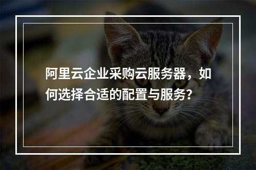 阿里云企业采购云服务器,如何选择合适的配置与服务?