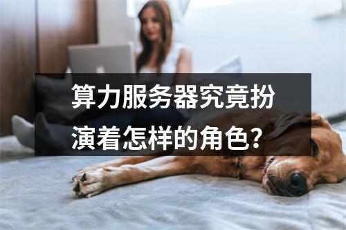 算力服务器究竟扮演着怎样的角色?