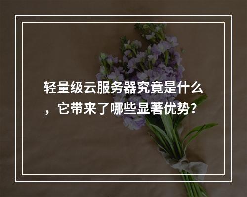 轻量级云服务器究竟是什么,它带来了哪些显著优势?