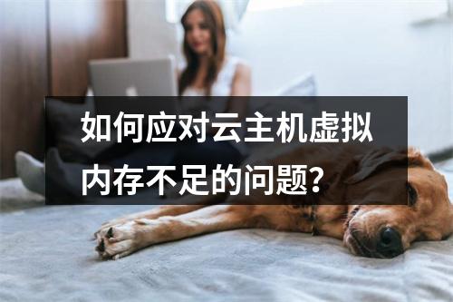 如何应对云主机虚拟内存不足的问题?