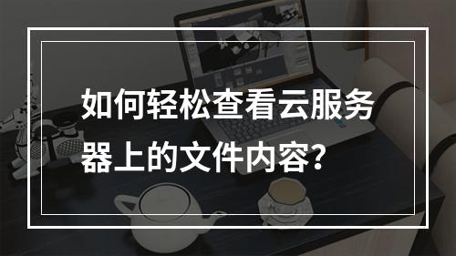 如何轻松查看云服务器上的文件内容?