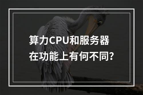 算力CPU和服务器在功能上有何不同?