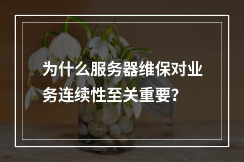 为什么服务器维保对业务连续性至关重要?