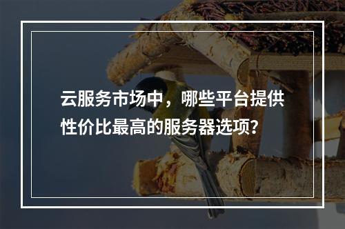 云服务市场中,哪些平台提供性价比最高的服务器选项?